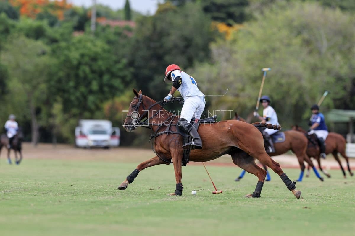 Polo at Casa de Campo in La Romana, La Romana, Dominican Republic on August 1, 2026. (Photos by Bryan M. Bennett)