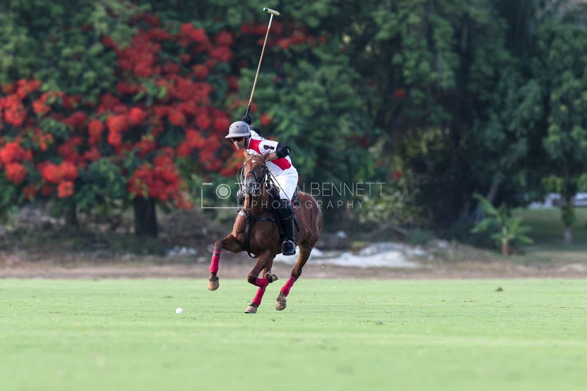 La Suiza and La Carbuccia play polo at Casa de Campo in La Romana, Dominican Republic on August 8, 2026. (Photos by Bryan Bennett)