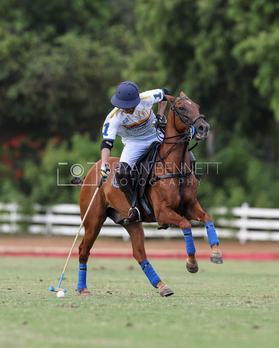 Polo at Casa de Campo in La Romana, La Romana, Dominican Republic on August 1, 2026. (Photos by Bryan M. Bennett)