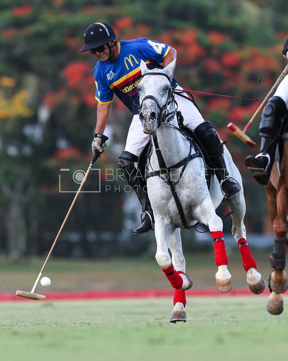 Polo at Casa de Campo in La Romana, Dominican Republic on August 15, 2026. (Photos by Bryan Bennett)