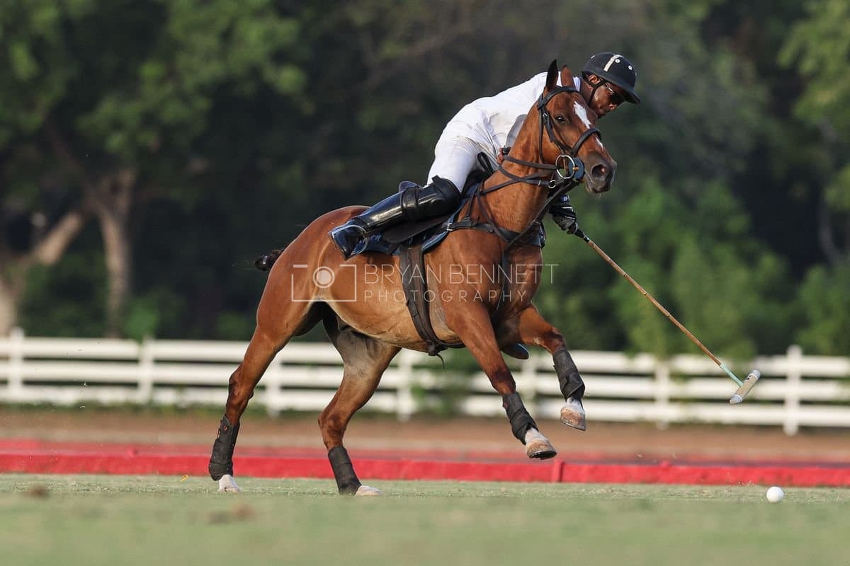 Polo at Casa de Campo in La Romana, Dominican Republic on August 15, 2026. (Photos by Bryan Bennett)