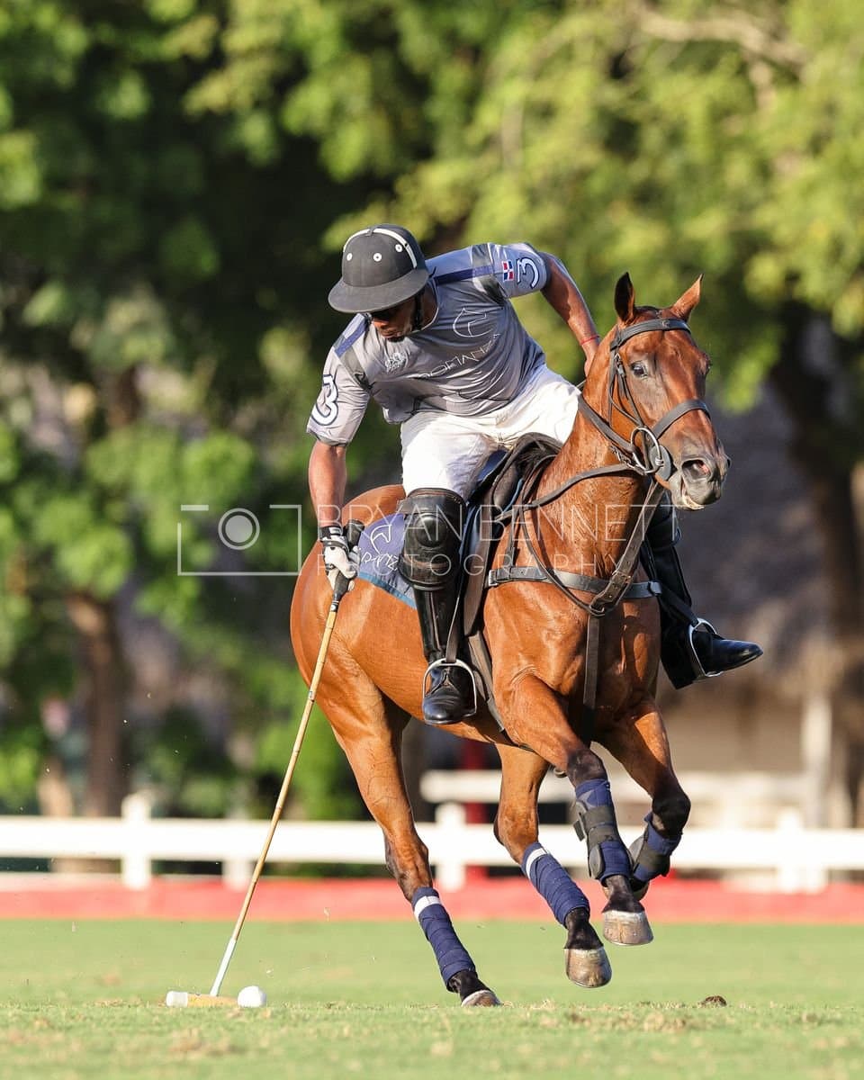La Suiza and La Carbuccia play polo at Casa de Campo in La Romana, Dominican Republic on August 8, 2026. (Photos by Bryan Bennett)