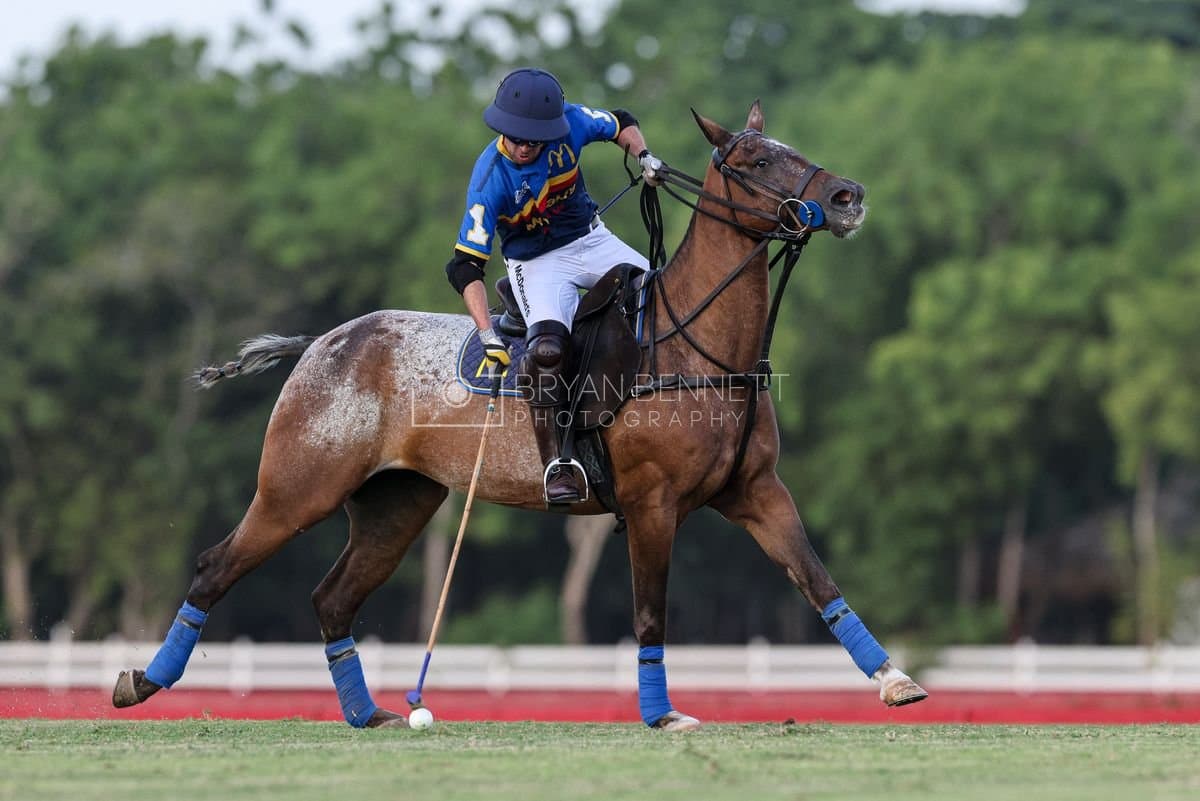 Polo at Casa de Campo in La Romana, Dominican Republic on August 15, 2026. (Photos by Bryan Bennett)