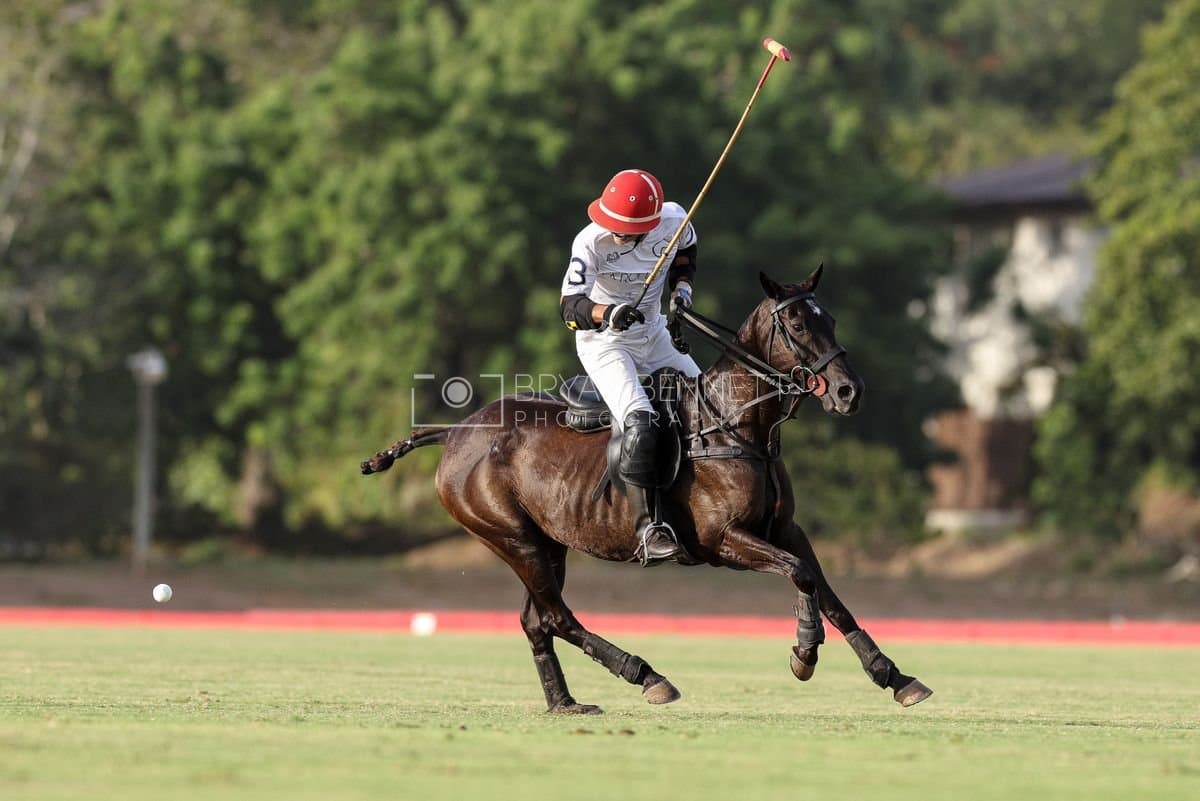 Polo at Casa de Campo in La Romana, Dominican Republic on August 15, 2026. (Photos by Bryan Bennett)