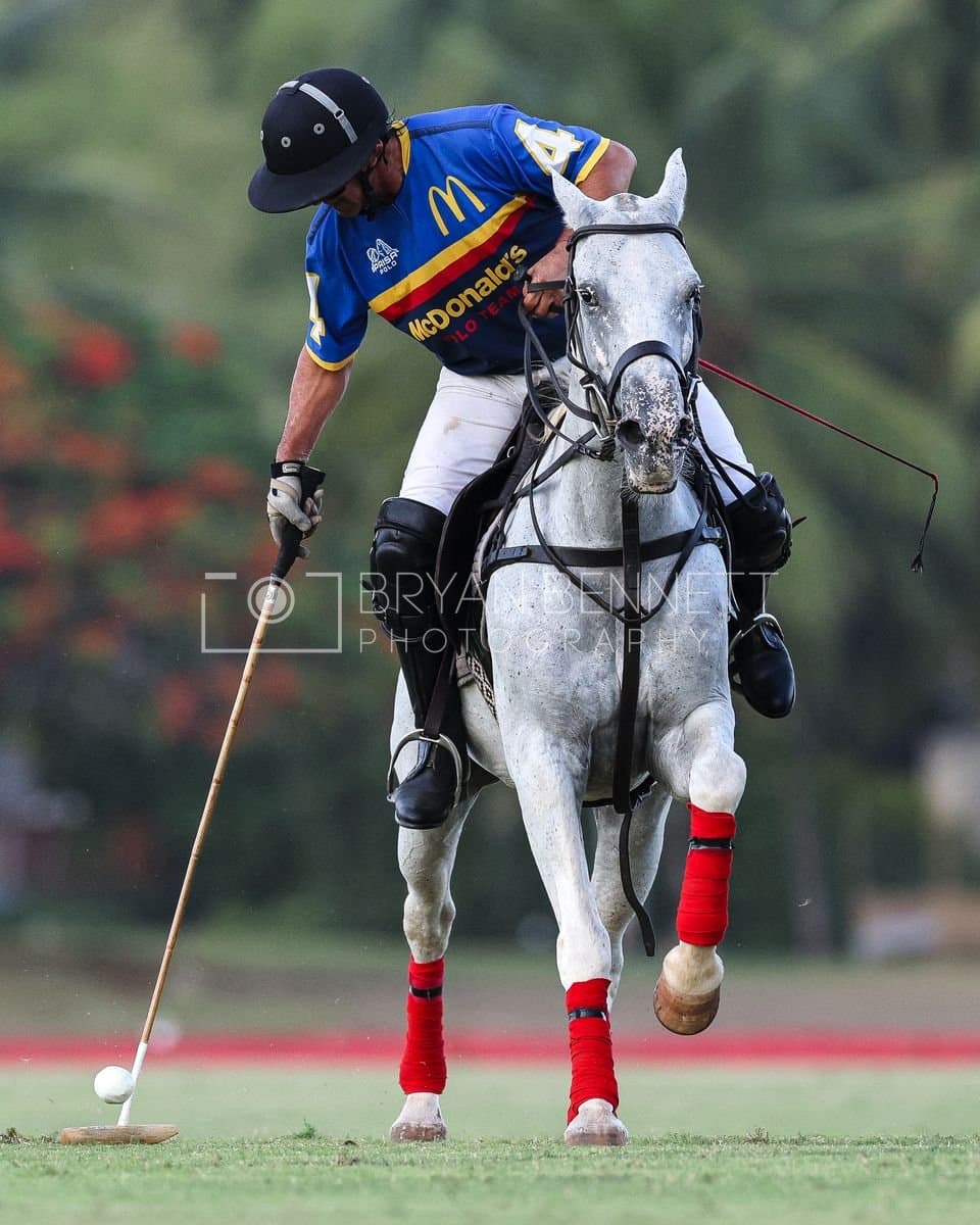 Polo at Casa de Campo in La Romana, Dominican Republic on August 15, 2026. (Photos by Bryan Bennett)