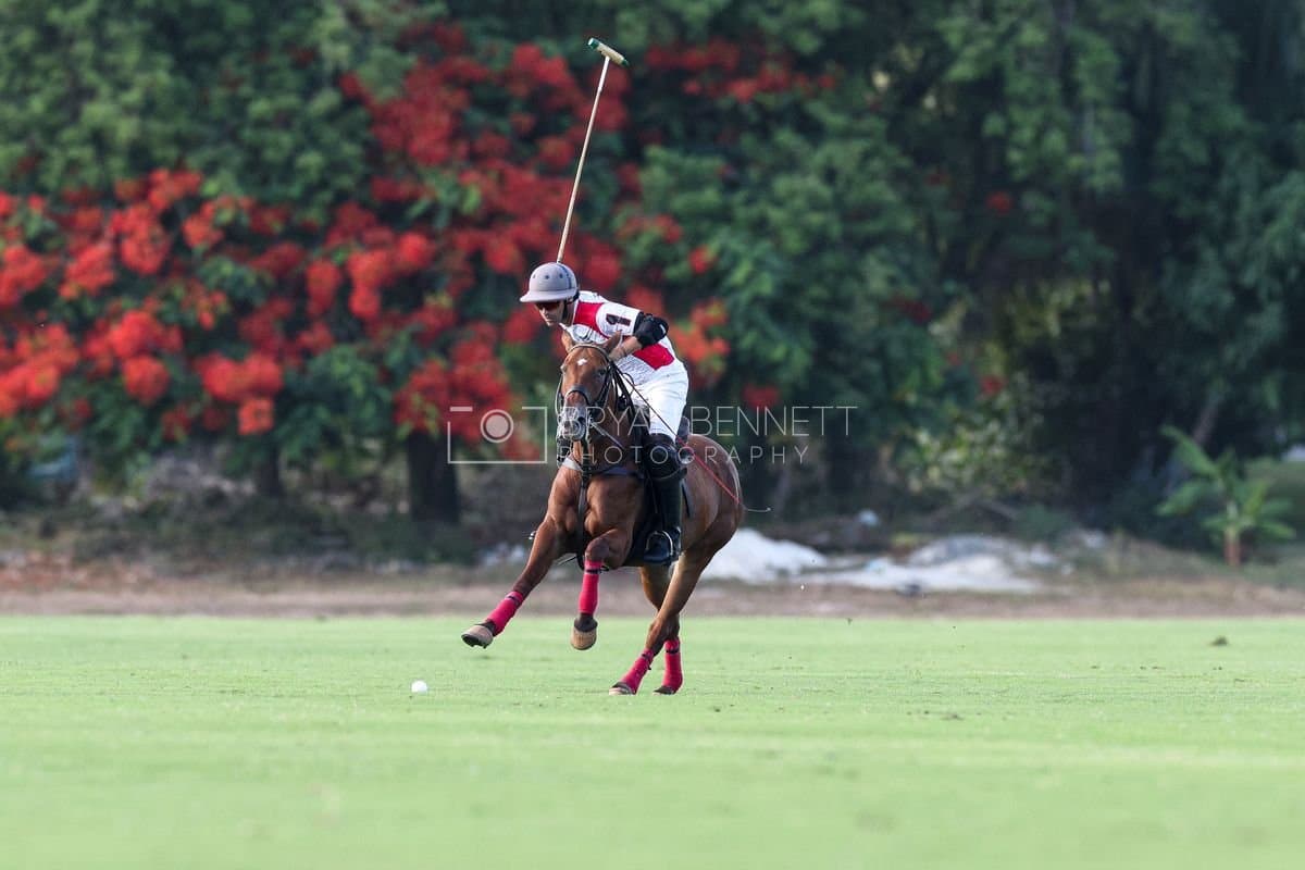 La Suiza and La Carbuccia play polo at Casa de Campo in La Romana, Dominican Republic on August 8, 2026. (Photos by Bryan Bennett)
