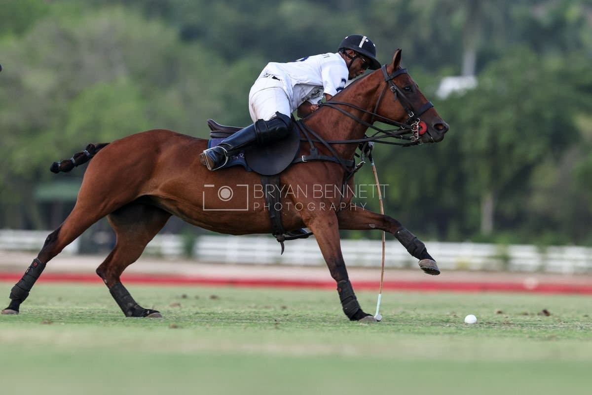 Polo at Casa de Campo in La Romana, Dominican Republic on August 15, 2026. (Photos by Bryan Bennett)