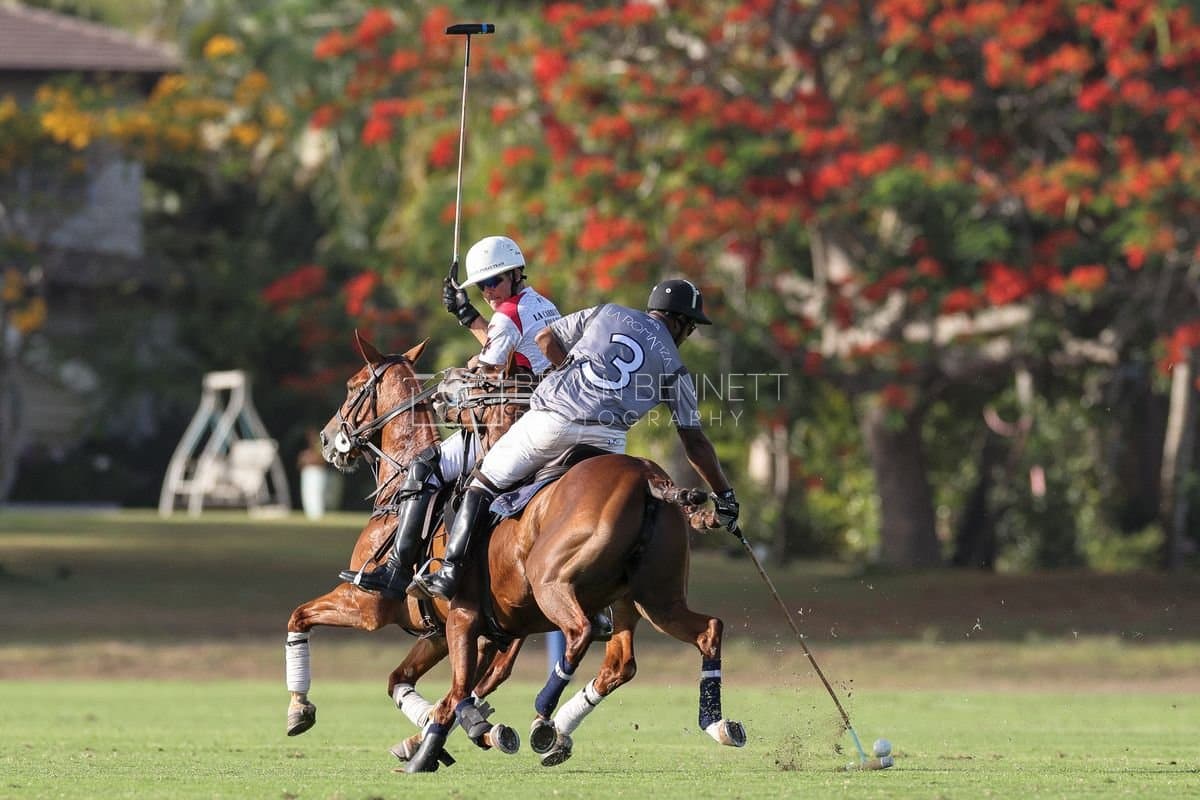 La Suiza and La Carbuccia play polo at Casa de Campo in La Romana, Dominican Republic on August 8, 2026. (Photos by Bryan Bennett)