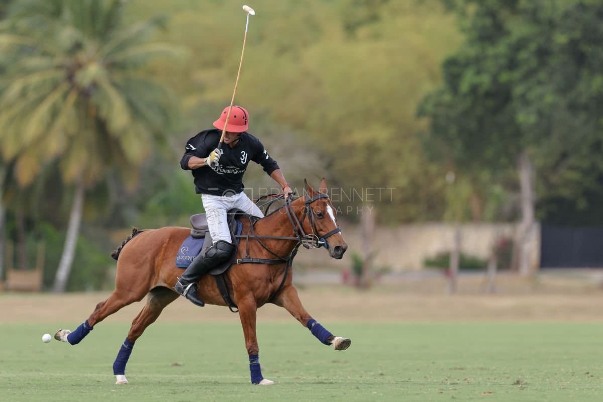 Lechuza Caracas and La Romanza 3J play polo during the Copa Britanica at Casa de Campo in La Romana, La Romana, Dominican Republic on March 1, 2026. (Photos by Bryan Bennett)