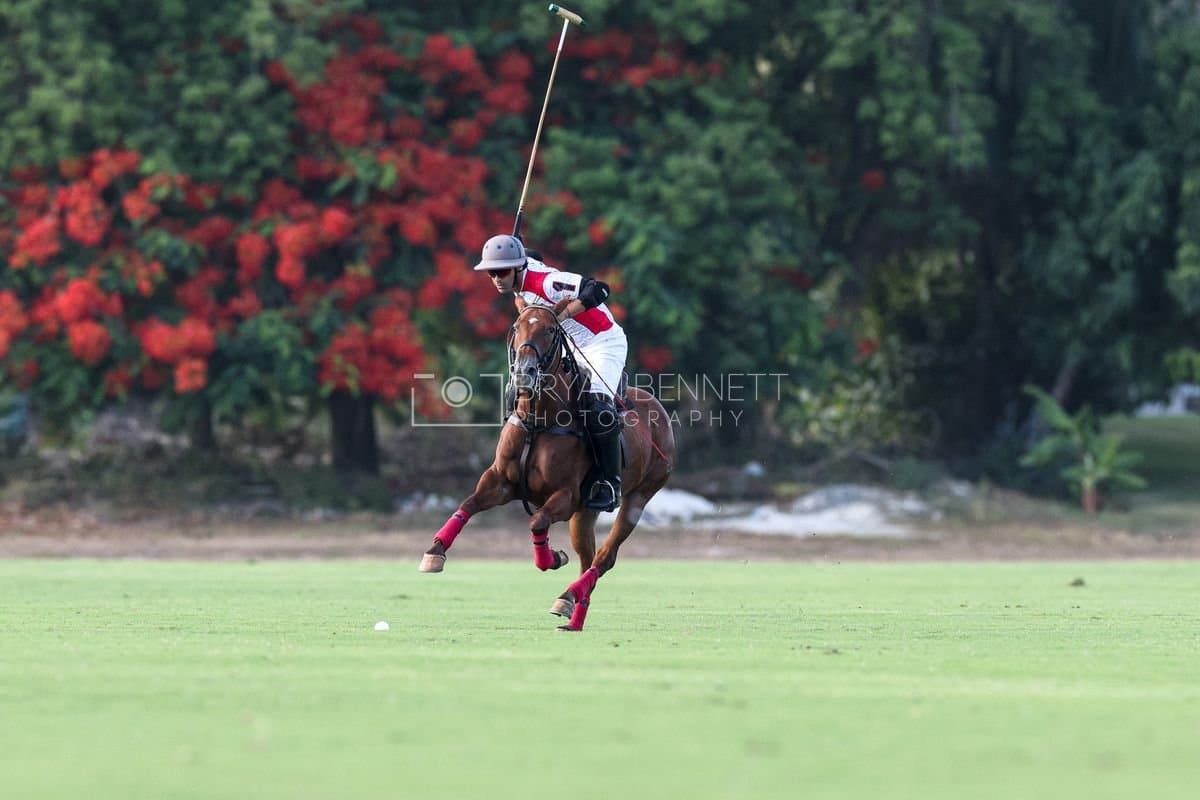 La Suiza and La Carbuccia play polo at Casa de Campo in La Romana, Dominican Republic on August 8, 2026. (Photos by Bryan Bennett)