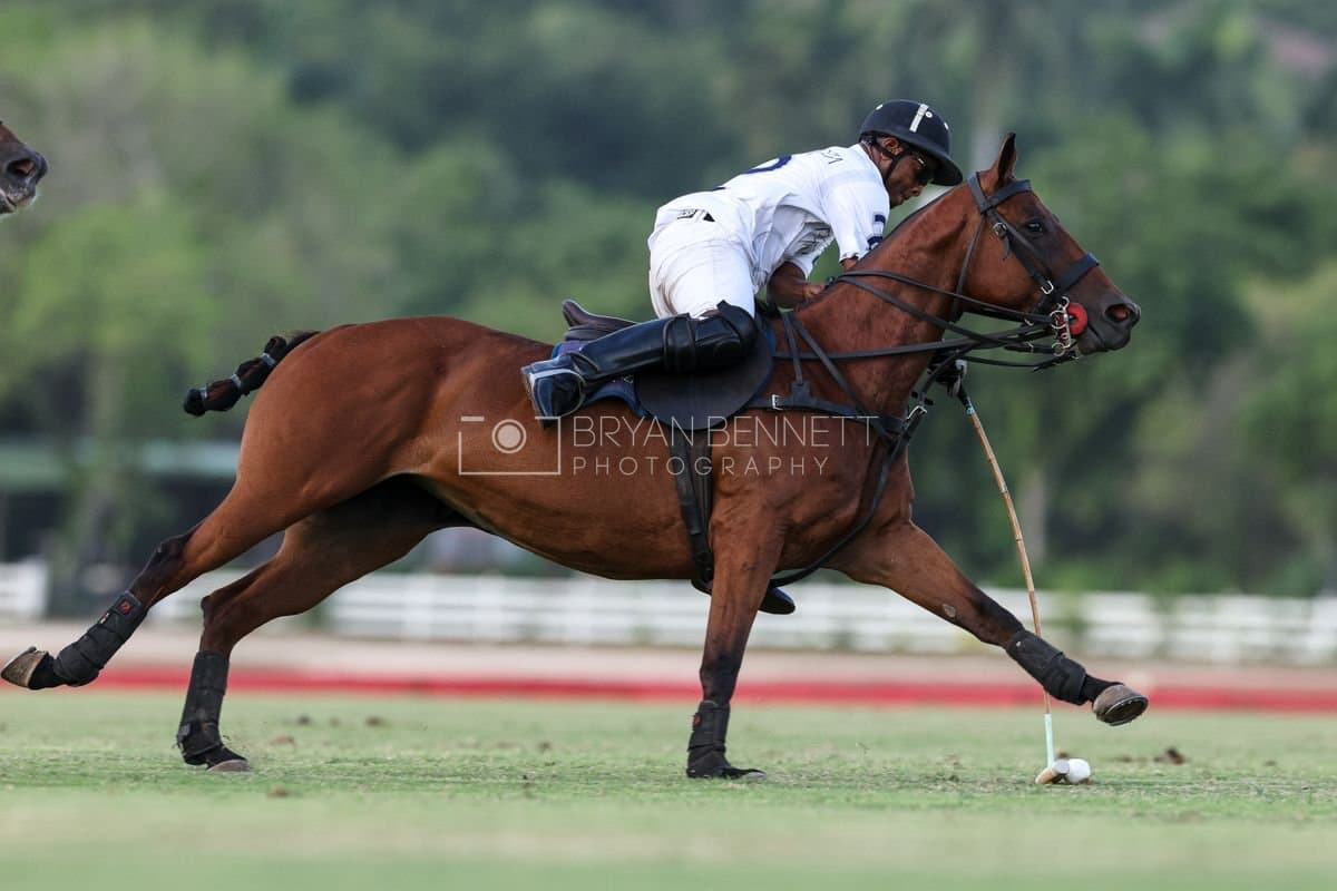 Polo at Casa de Campo in La Romana, Dominican Republic on August 15, 2026. (Photos by Bryan Bennett)