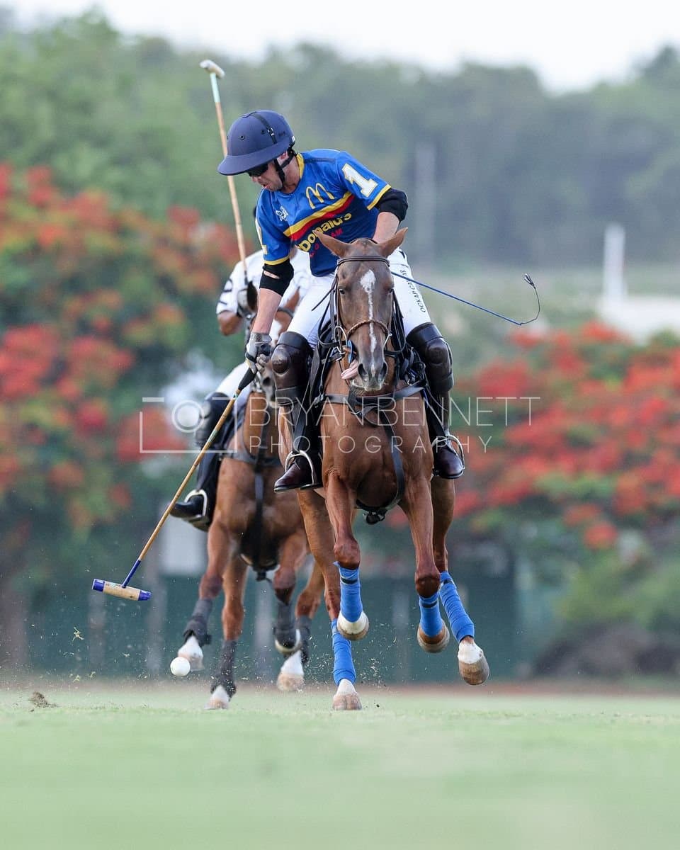 Polo at Casa de Campo in La Romana, Dominican Republic on August 15, 2026. (Photos by Bryan Bennett)