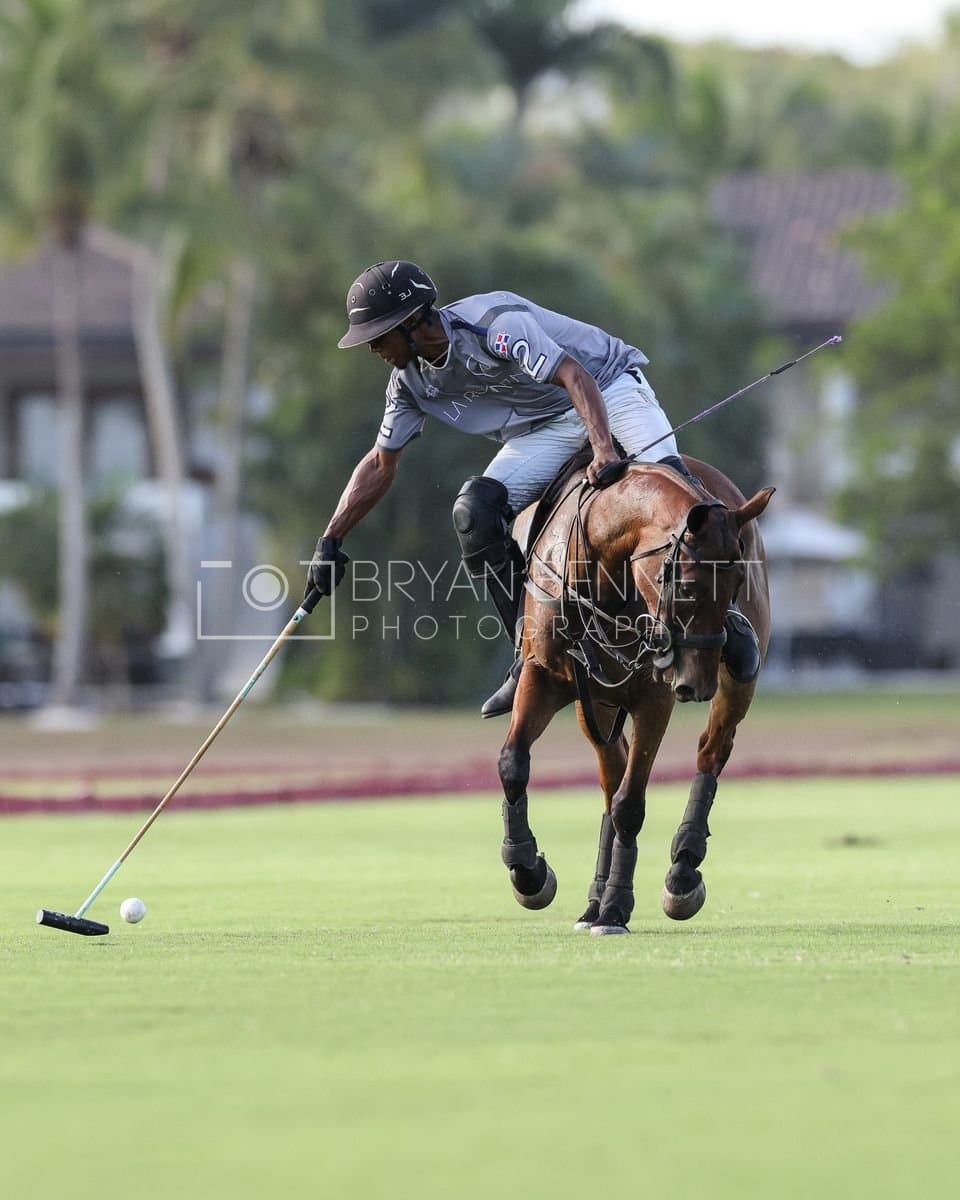 La Suiza and La Carbuccia play polo at Casa de Campo in La Romana, Dominican Republic on August 8, 2026. (Photos by Bryan Bennett)