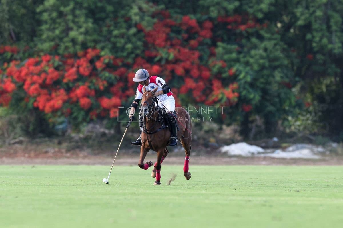 La Suiza and La Carbuccia play polo at Casa de Campo in La Romana, Dominican Republic on August 8, 2026. (Photos by Bryan Bennett)