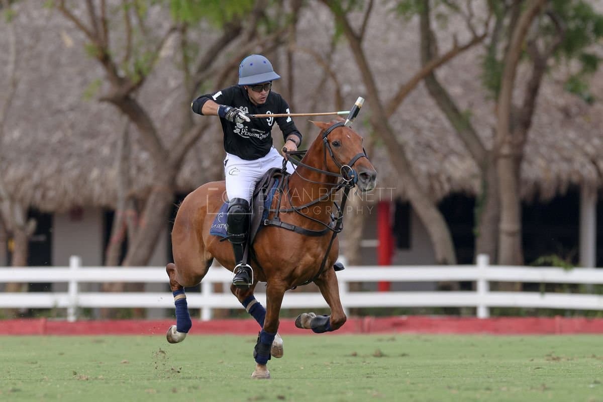 Lechuza Caracas and La Romanza 3J play polo during the Copa Britanica at Casa de Campo in La Romana, La Romana, Dominican Republic on March 1, 2026. (Photos by Bryan Bennett)