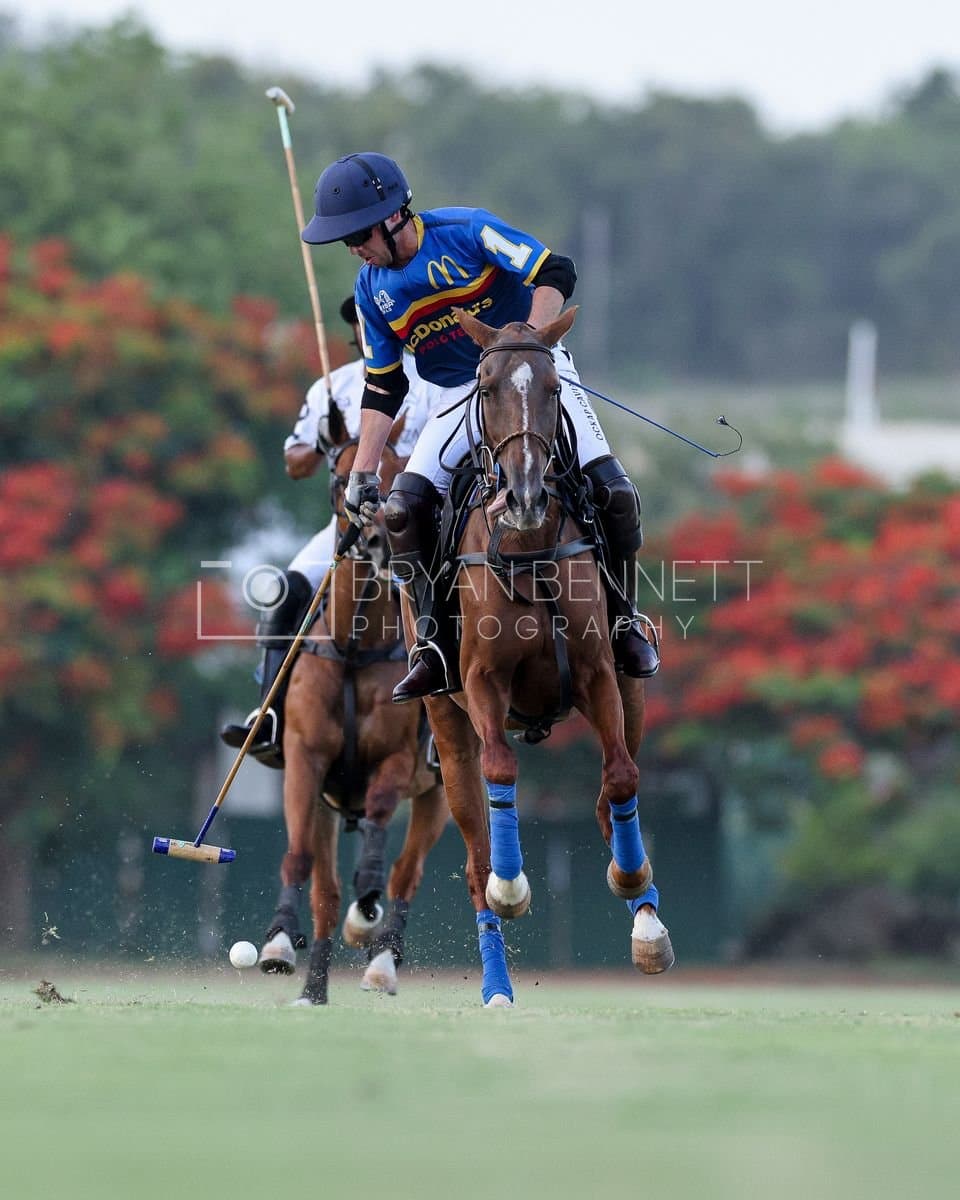 Polo at Casa de Campo in La Romana, Dominican Republic on August 15, 2026. (Photos by Bryan Bennett)