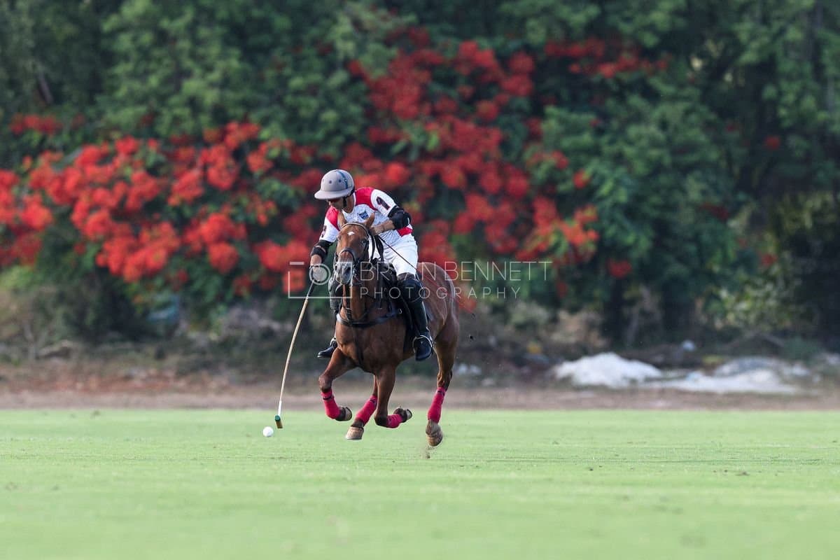 La Suiza and La Carbuccia play polo at Casa de Campo in La Romana, Dominican Republic on August 8, 2026. (Photos by Bryan Bennett)