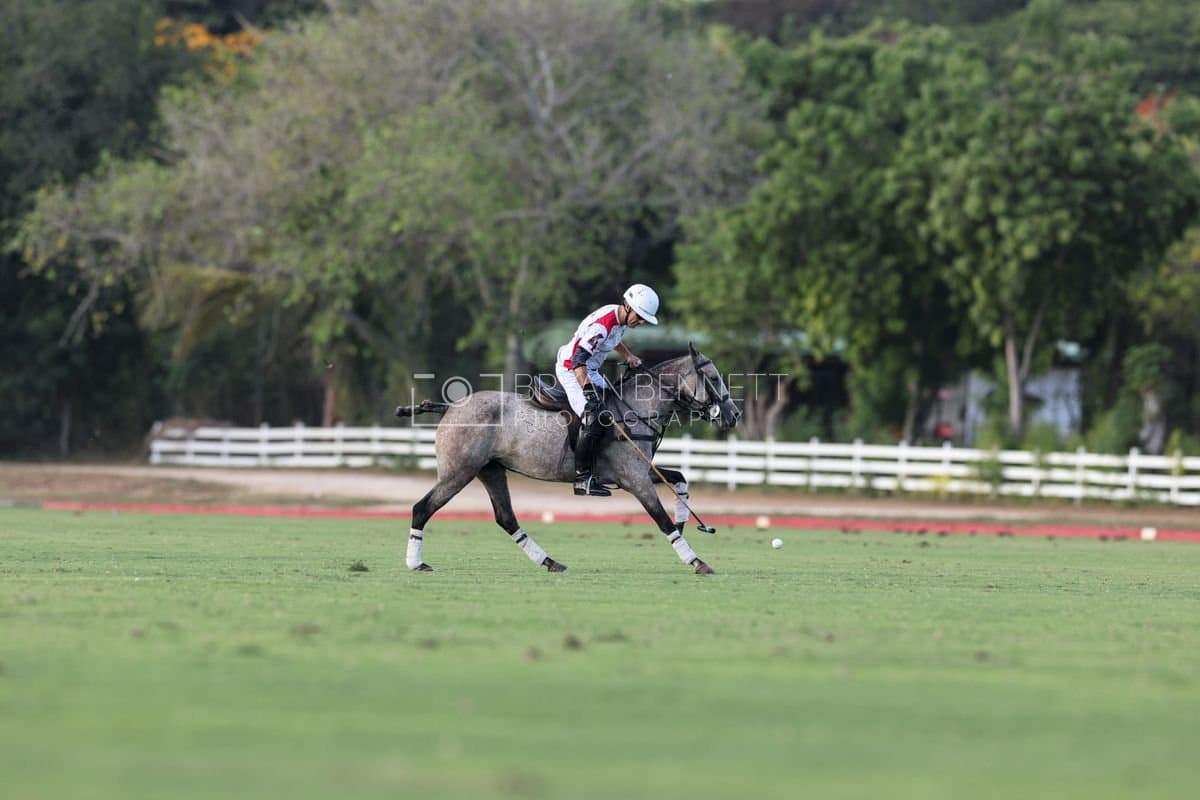 La Suiza and La Carbuccia play polo at Casa de Campo in La Romana, Dominican Republic on August 8, 2026. (Photos by Bryan Bennett)