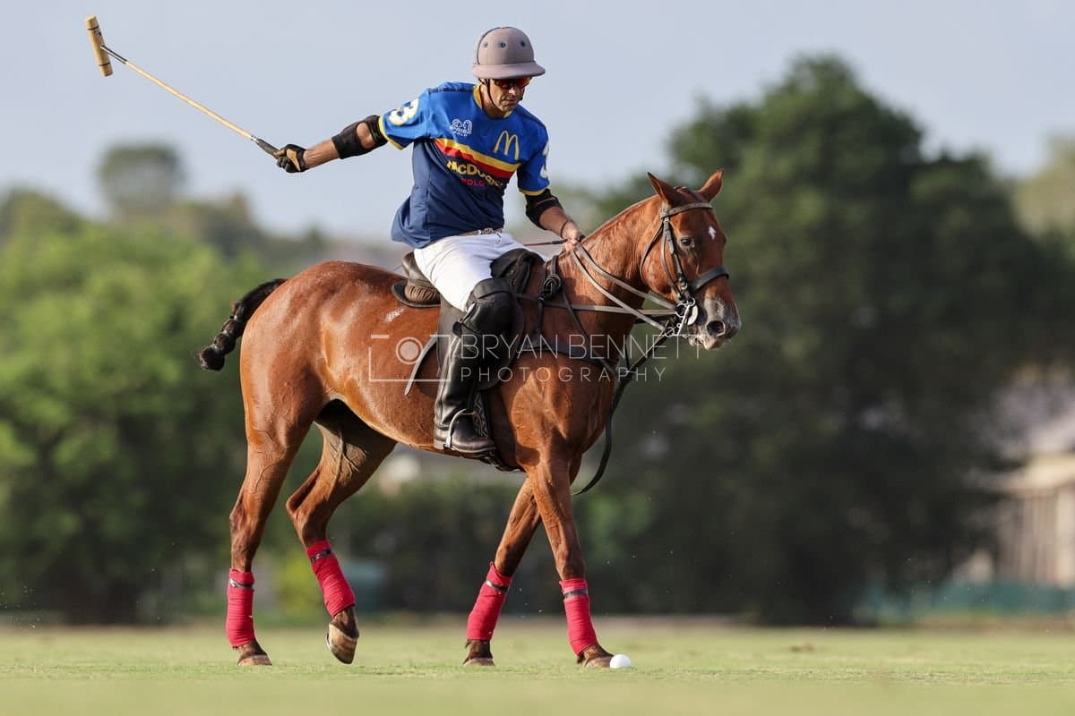 Polo at Casa de Campo in La Romana, Dominican Republic on August 15, 2026. (Photos by Bryan Bennett)