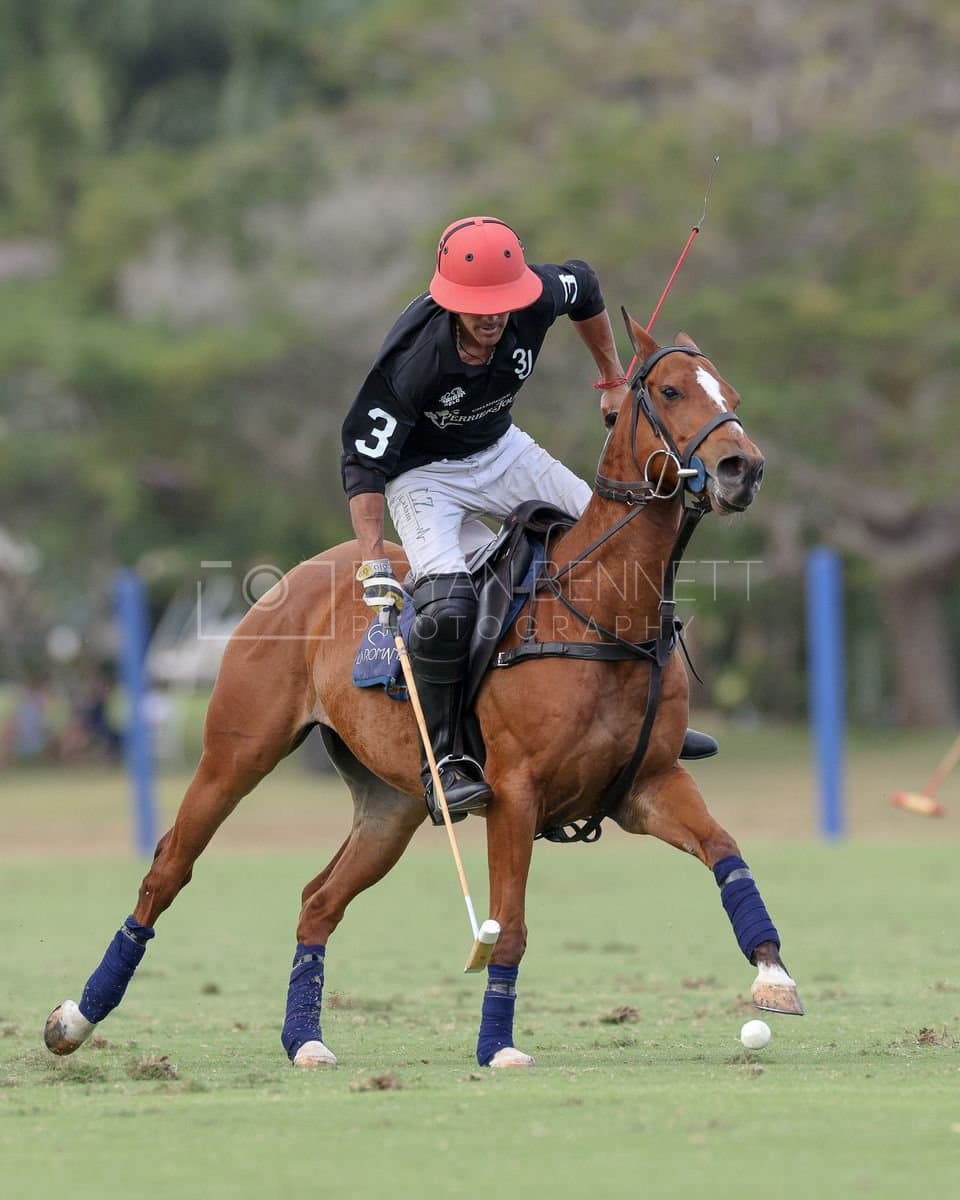 Lechuza Caracas and La Romanza 3J play polo during the Copa Britanica at Casa de Campo in La Romana, La Romana, Dominican Republic on March 1, 2026. (Photos by Bryan Bennett)